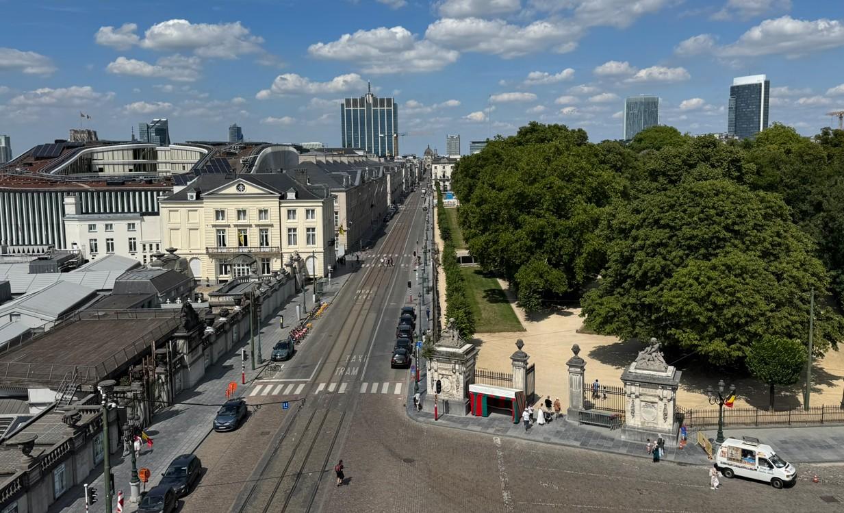LES PAYSAGES URBAINS HISTORIQUES BRUXELLOIS, UN PATRIMOINE EN DANGER